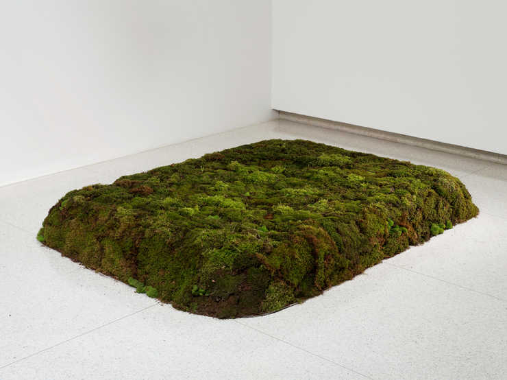 A conceptual work in which 20 cubic yards of peat moss are formed to the dimension of the work,...