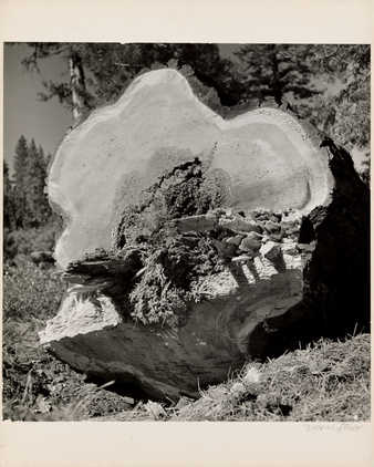 .2 is a duplicate image of .1; .1 is mounted to paperboard support; .2 is unmounted