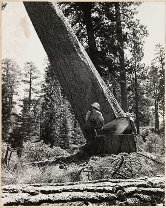 .2 is a duplicate image of .1; .1 is mounted to paperboard support; .2 is unmounted. Same image...