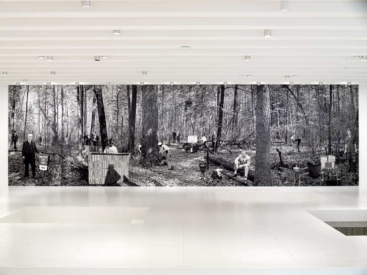 A manipulated photograph of the "Lost Forty" Chippewa National Forest in Minnesota...