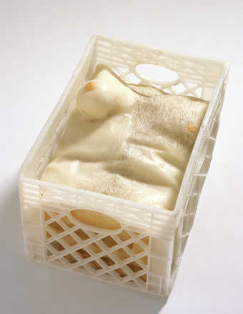 A wax torso, half male and half female, contained within a cast plastic milk crate.