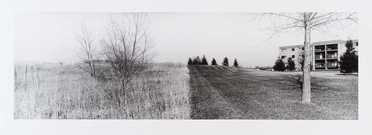 An image of a prairie bordered by  the manicured lawn of an apartment building.