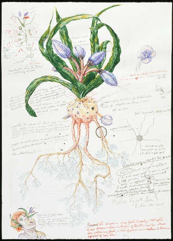 Fantasy plant form surrounded by pseudoscientific descriptions.