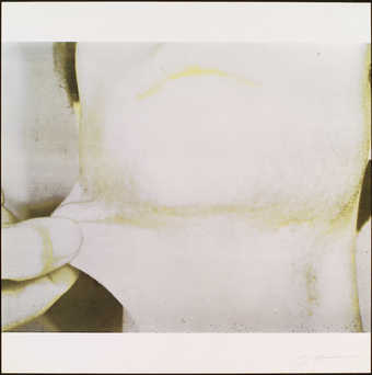 one from a portfolio of 5 screenprints on paper