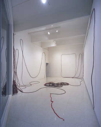 Two long cords made of bundles of thread bound with a glue/pigment mixture.  On both ends of each...