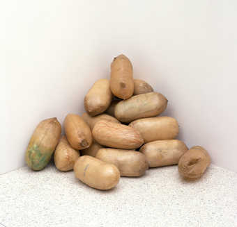 19 pod shaped vessels, piled into a corner for installation.