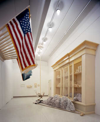 The exhibition as installed at Walker art center including bleacher, carpet, wall pad ensemble,...