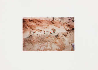 A wooden box containing a sample of Alabama soil on the lid.  Inside the hinged lid is tobacco...