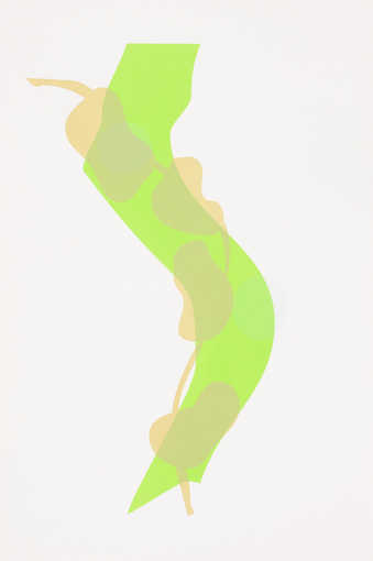 9 prints from a series of 135 botanical studies in which the artist made all prints by...