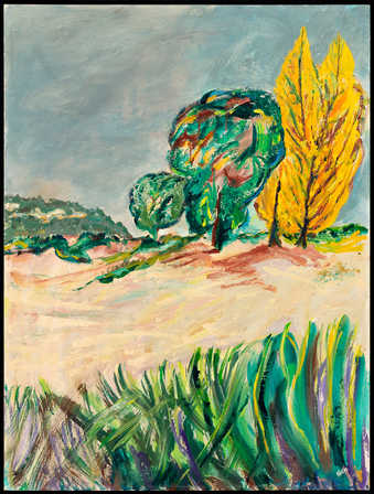 local color trees and hills, grass in foreground