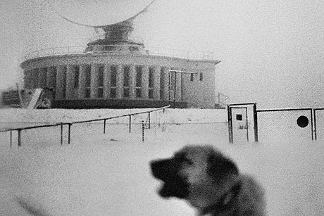 whiteonwhite: algorithmicnoir